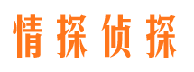 长岭侦探